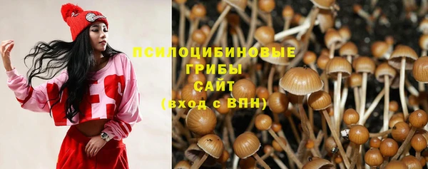 метамфетамин Алексеевка