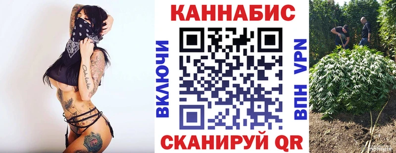 Бошки Шишки семена Сельцо